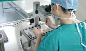 试管怀孕费用多少钱？怀孕费用明细？