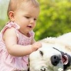 死精率80%的男性可以在涿州市做三代试管吗？公开2026做三代试管条件