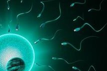 贝依打多久才有效？用于治病或助孕的时间与剂量各不同