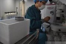 试管婴儿能否达偿所愿,且看微刺激窦卵泡计数效果