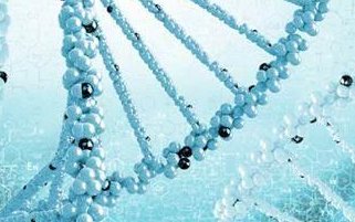 试管长方案进周期流程