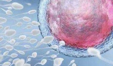 移植第六天雌二醇65.8是正常的吗？囊胚移植第10天血值hcg500是怀有双胎吗？